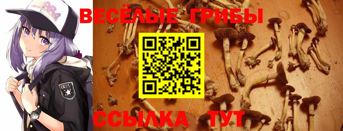 Псилоцибиновые грибы Cubensis  Галлюциногенные грибы Magic Shrooms  Вышний Волочёк  Вход с VPN 
