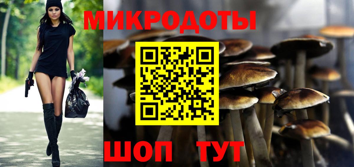 Галлюциногенные грибы Cubensis Вышний Волочёк